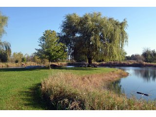Property photo 116 - EHLE FARMS AUCTION - 118+/- ACRES IN 9 TRACTS IN ALLEN COUNTY, INDIANA